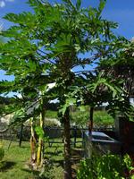 Radtour Schweinebucht (16)