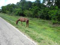 Radtour Schweinebucht (17)