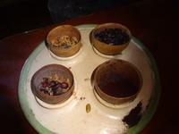 Kaffee-Plantage (12)