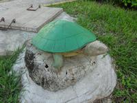 Ma Dolores (Trinidad) (2)