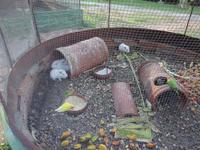 Ma Dolores (Trinidad) (3)