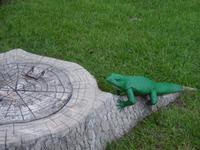 Ma Dolores (Trinidad) (7)