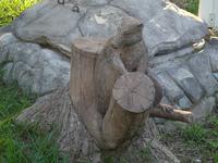 Ma Dolores (Trinidad) (9)