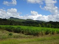 Radtour nach Trinidad (3)