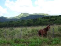 Radtour nach Trinidad (4)
