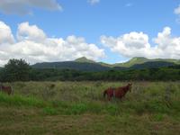 Radtour nach Trinidad (5)