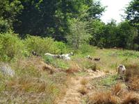 Radtour nach Trinidad (9)