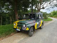 Sierra del Escambray (10)