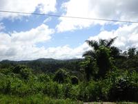 Sierra del Escambray (19)