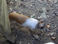 Sierra del Escambray (21)