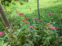 Sierra del Escambray (31)