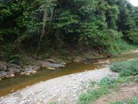 Sierra del Escambray (33)