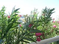 Hotel Dhawa auf Cayo Santa Maria