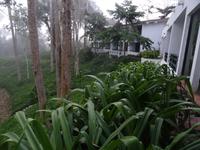 Hotel Moka in Las Terrazas