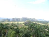 Mogotes im Westen Kubas