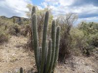 Auf der Fahrt nach Baracoa