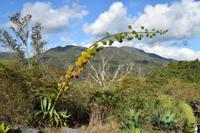 Die Bergwelt der Escambray