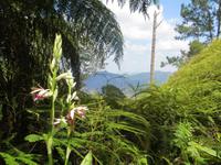 173 Impressionen