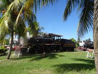 Viele Lokomotiven im Park des Museums