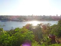 Havanna (28)