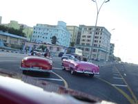 Havanna (38)