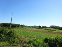 Puerto Esperanza (1)