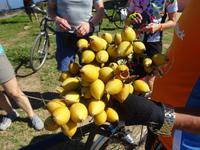 Puerto Esperanza (3)