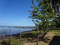 Puerto Esperanza (4)