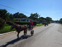 Puerto Esperanza (5)