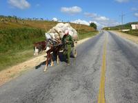 Valle de los Ingenios (1)