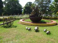 Valle de los Ingenios (7)