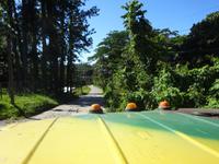 Sierra del Escambray (4)