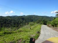 Sierra del Escambray (14)