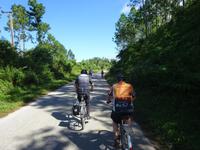 Sierra del Escambray (18)