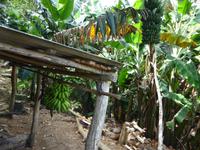 Sierra del Escambray (20)