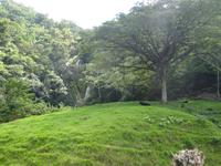 Sierra del Escambray (21)