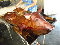 Sierra del Escambray (25)