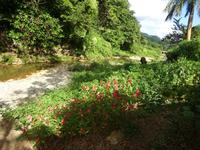 Sierra del Escambray (26)