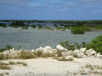 Cayo Santa Maria (3)