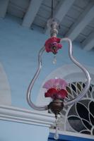 Muranoglaslampen in Kaffeeplantagenbesitzervilla