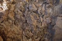 Der Fels entpuppt sich bei genauer Betrachtung als ehem. Korallenriff