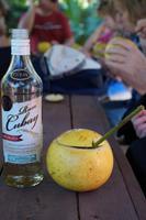 Pampelmuse mit Strohhalm aus Papyrus, der Pampelmusensaft ist natürlich mit Vitamin R veredelt