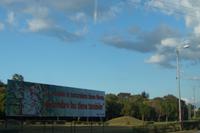 Wo die Natur blüht, blüht auch das Gehirn. 