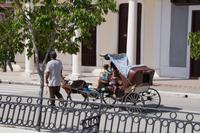 Kinderkutsche mit Ziege als Zugtier