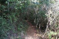 Unser Pfad durch den Nebelwald