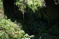 Es tropft in feinen Kaskädchen 