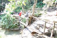 Stege überbrücken die Bäche 