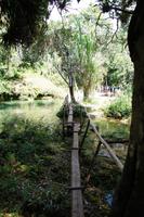 Stege überbrücken die Bäche 