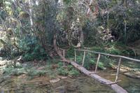 Stege überbrücken die Bäche 