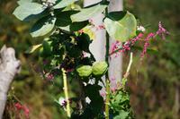 Am Stadtrand von Trinidad